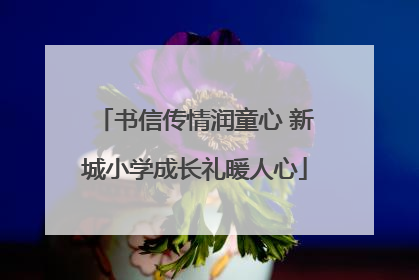 书信传情润童心 新城小学成长礼暖人心